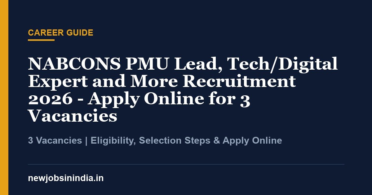 NABCONS PMU Lead, Tech/Digital Expert and More Recruitment 2026 - Apply Online for 3 Vacancies